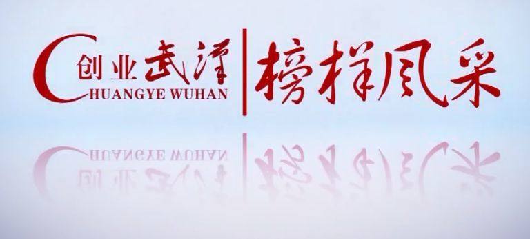  卢鹏荐：新材强国 突破化工半导体高纯瓶颈